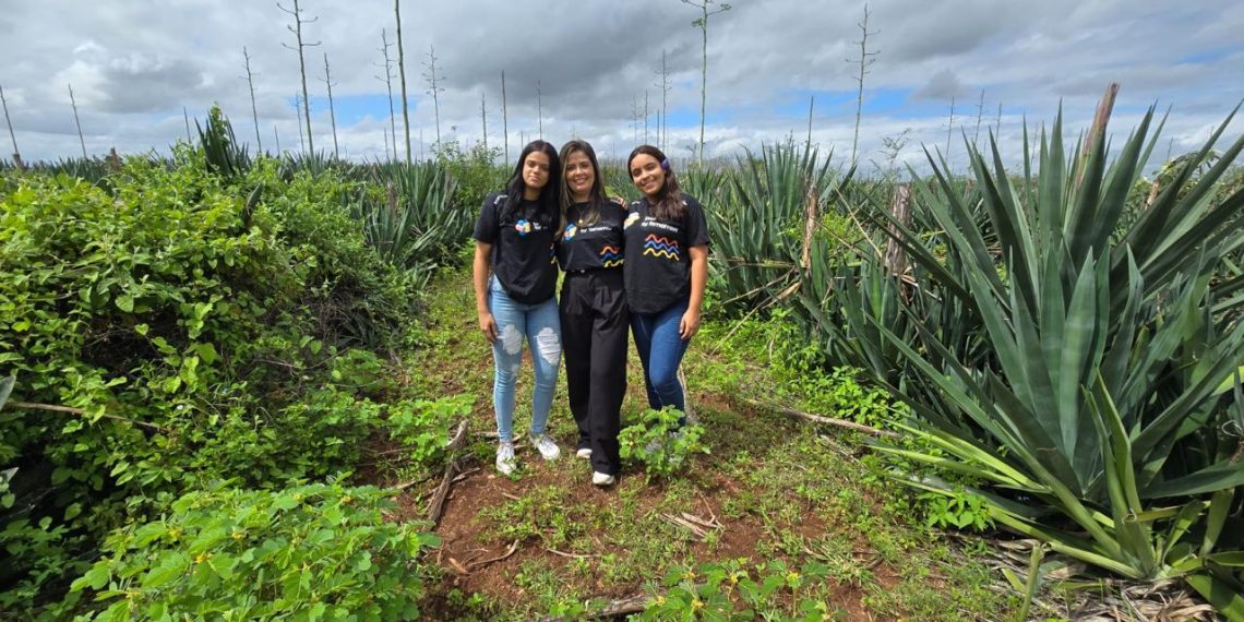 Cetep Sisal e UFRB cadastram patente de projeto que apresenta alternativa sustentável ao uso de plástico