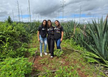 Cetep Sisal e UFRB cadastram patente de projeto que apresenta alternativa sustentável ao uso de plástico