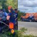 Capotamento na BR-324 deixa uma vítima em estado grave próximo ao povoado Santana