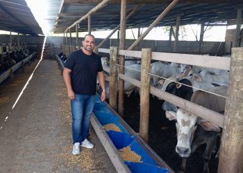 Empresário nega irregularidades em confinamento de gado denunciado por moradores e firma TAC com Secretaria de Meio Ambiente de Coité