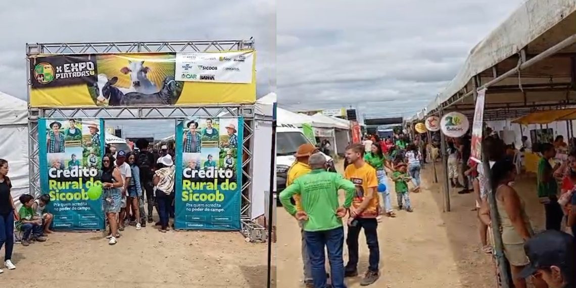 Expo Pintadas celebra 10ª edição com valorização da agricultura familiar, economia solidária e presença de autoridades estaduais