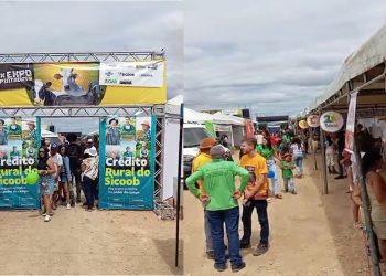 Expo Pintadas celebra 10ª edição com valorização da agricultura familiar, economia solidária e presença de autoridades estaduais