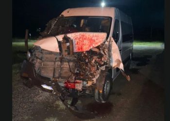 Van do TFD de Utinga colide com cavalo na BA-130