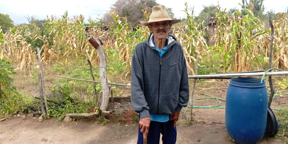 Família de Riachão do Jacuípe impressiona com longevidade, união e cinco gerações vivas