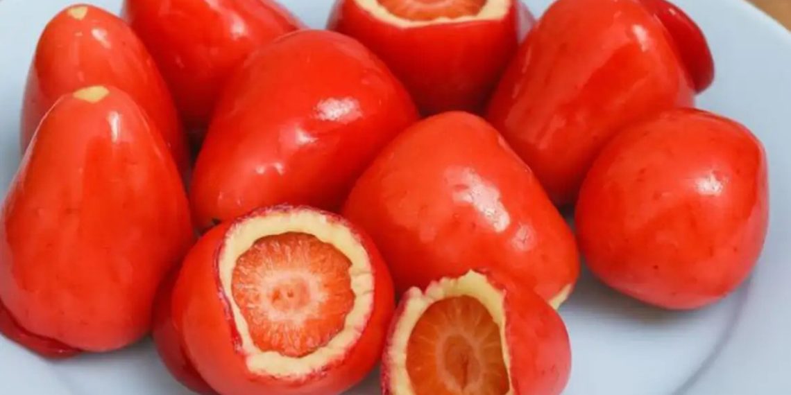 Conselho Federal de Odontologia alerta sobre riscos do morango do amor