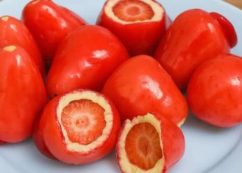 Conselho Federal de Odontologia alerta sobre riscos do morango do amor