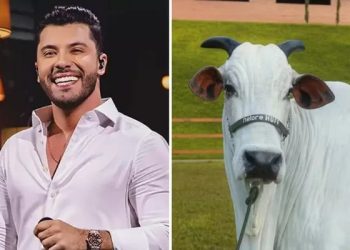 Murilo Huff compra vaca por R$ 17 milhões um mês após conquistar guarda de filho herdeiro
