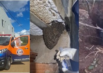 Brigada Anjos Jacuipenses enfrenta um dos plantões mais intensos de sua história com 13 atendimentos em 13h