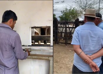 ExpoPintadas 2025 termina com sucesso com a comercialização de animas durante a feira livre da cidade