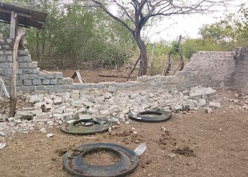 Sete cavalos são soltos após muro de curral municipal ser derrubado em Santaluz