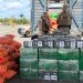 Batalhão Rodoviário da PM apreende mais de 500kg de cocaína na BA-502. Droga estava escondida em carga de cebola