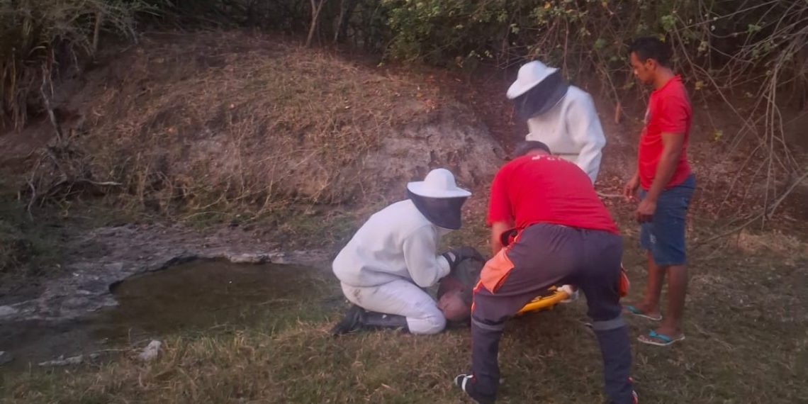 Homem morre e mulher é socorrida para o hospital após serem atacados por abelhas durante pescaria
