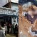 PE – Coveiro chega para trabalhar e encontra cadáver sentado sobre o próprio túmulo