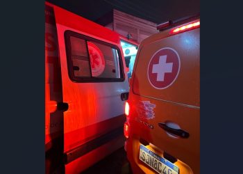 Duas pessoas ficam feridas após colisão de moto com vaca na BA 120