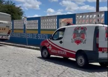 Abelhas invadem escola e atacam vários alunos da rede municipal