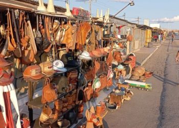 Barracas às margens da BR-324 simbolizam a força econômica e cultural de Gavião, município pequeno mas em processo de desenvolvimento bem avançado