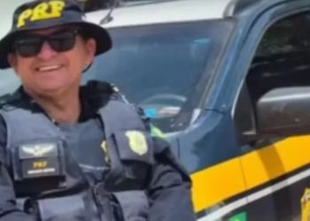 Policial rodoviário morre atropelado ao retirar animais da pista na BR 110