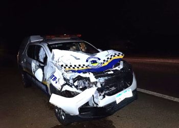 Viatura da GCM de Jacobina fica bastante danificada após colir em animal na pista