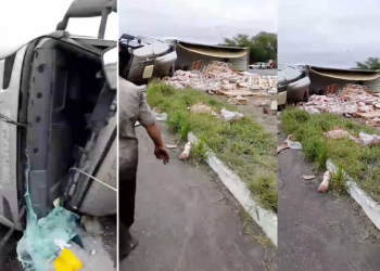 Carreta transportando carregamento de carne suína tomba na BR-116 Sul. Carga é saqueada