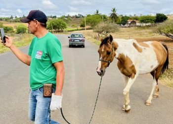 Prefeitura começa a recolher animais soltos em vias públicas e a multar responsáveis