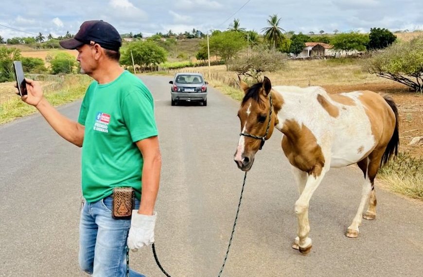 Prefeitura começa a recolher animais soltos em vias públicas e a multar responsáveis