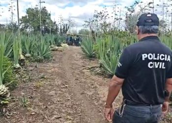 Suspeito de estupro de vulnerável contra filha é preso em Araci