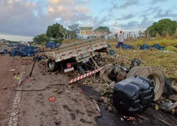 Colisão entre caminhões carregados de café e mangas deixa dois mortos na BR-116 sul
