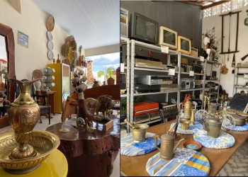 Museu e Antiquário Shallon: o passado que ainda respira em Salgadália. Agende sua visita