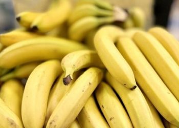 Previne até pedra no rim: novos benefícios da banana são descobertos e surpreendem