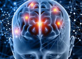 Cérebro dos homens encolhe mais com envelhecimento que o das mulheres, aponta estudo