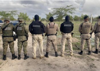 Operação nacional contra tráfico de aves tem investigados em Monte Santo e Valente