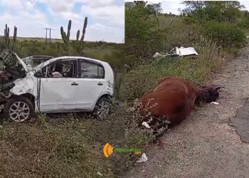 Carro fica destruído após colidir em cavalo na BR 116 Norte