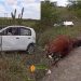 Carro fica destruído após colidir em cavalo na BR 116 Norte