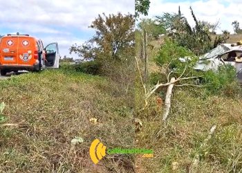 Vendedor de frutas fica ferido em capotamento na BA-120 entre Riachão do Jacuípe e Coité