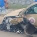 Policial militar colide viatura em árvore após passar mal
