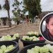 Mulher de 37 anos que saiu do interior de Pernambuco para enterro do sogro Jacobina, morre após o sepultamento