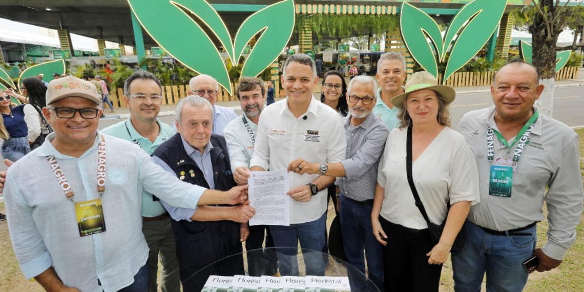 Bahia inicia projeto de arborização urbana que levará milhares de mudas a dez cidades
