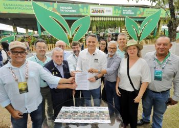 Bahia inicia projeto de arborização urbana que levará milhares de mudas a dez cidades