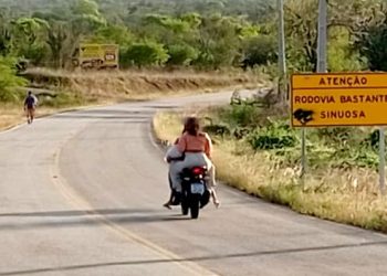 Trecho da BA-412 entre Retirolândia e Barreiros pode ser considerado o mais perigoso da região sisaleira