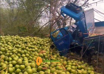 Caminhoneiro de 65 anos fica ferido após capotamento na BR-324, próximo a Vila Aparecida