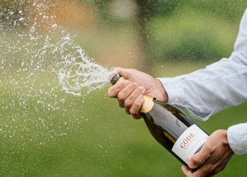 Governador anuncia pontos facultativos de fim de ano para servidores do Estado