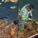 Bombeiros Voluntários Anjos do Cumbe realizam mais uma captura de sucuri