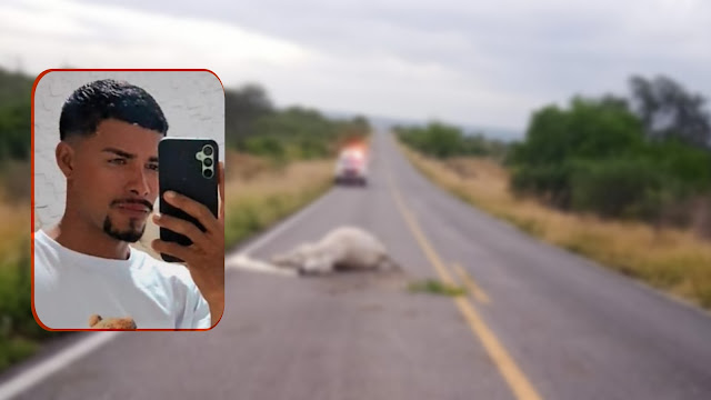 Motociclista morre ao colidir com vaca na BR 324; animal também não resistiu ao impacto