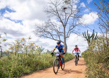 Desafio Arara de Lear acontecerá em março e está com inscrições abertas