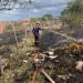 Incêndio em pasto seco no Povoado Santa Rosa mobiliza Brigada Águia Resgate