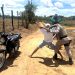 Coité – Operação Ronda Rural apreende droga e motocicleta irregular