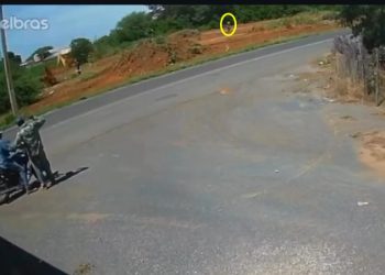 Vídeo – Homem morre após ataque de abelhas enquanto realizava limpeza em terreno com auxilio de retroescavadeira