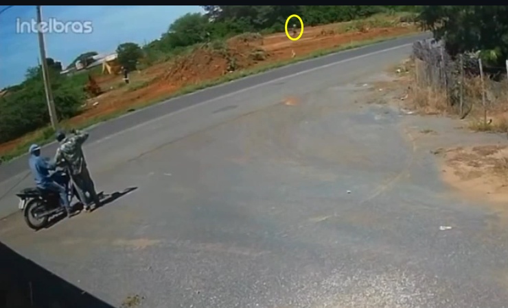 Vídeo – Homem morre após ataque de abelhas enquanto realizava limpeza em terreno com auxilio de retroescavadeira