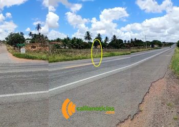 Vândalos danificam pela segunda vez radar implantado em trecho marcado por graves acidentes na BR-116 Norte