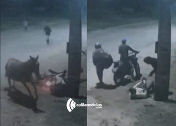 MA – Cavalo solto na pista provoca queda de motociclista e acaba facilitado assalto à vítima (vídeo)
